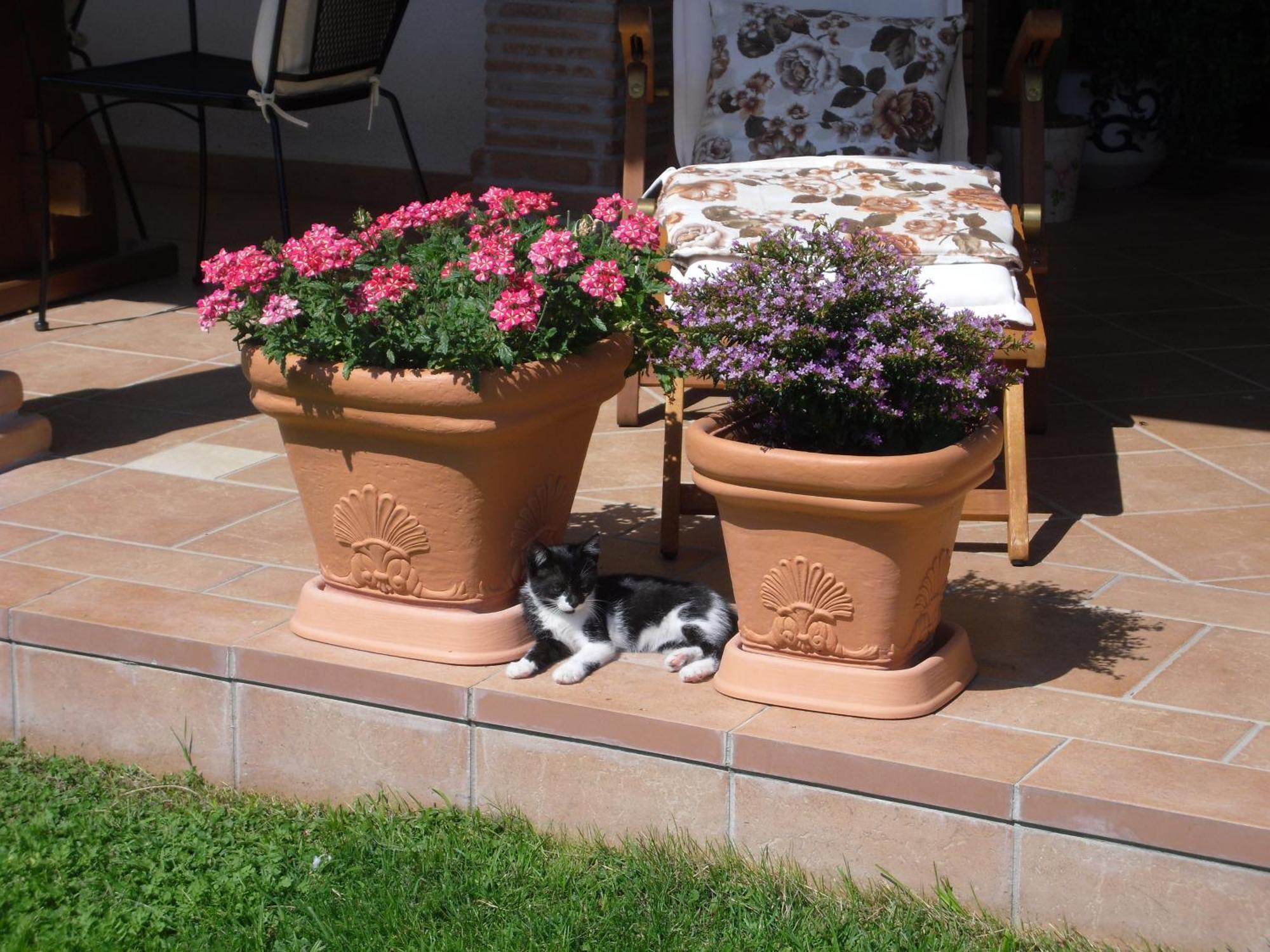 B&B Il Cantico Greccio Cameră foto